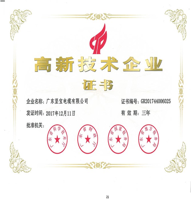 高新技術(shù)企業(yè)證書(shū)
