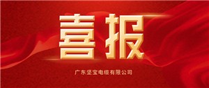 重磅喜報！堅寶電纜中標南方電網(wǎng)公司 2023 年配網(wǎng)材料第一批框架招標項目！