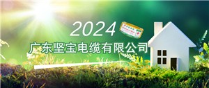 2024年線(xiàn)纜行業(yè)有哪些機會(huì )？這兩場(chǎng)會(huì )議釋放重要信號